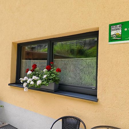 Alpenbauernhaus Konzett シュルンス エクステリア 写真