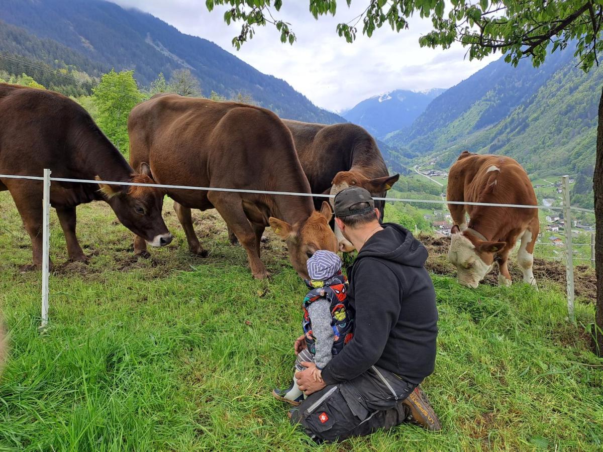 Alpenbauernhaus Konzett シュルンス エクステリア 写真